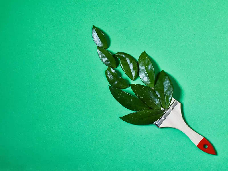 Pennello con foglie per pitture ecologiche Milano